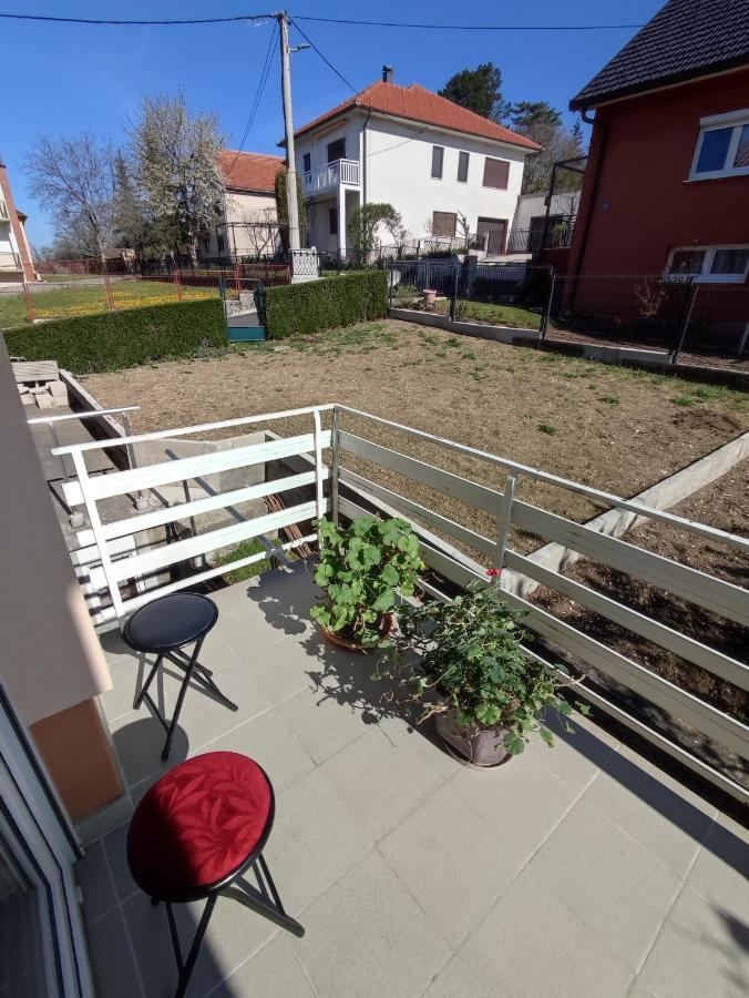 Apartman Bor ليفنو المظهر الخارجي الصورة