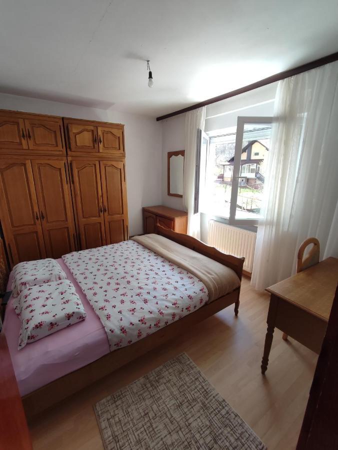 Apartman Bor ليفنو المظهر الخارجي الصورة