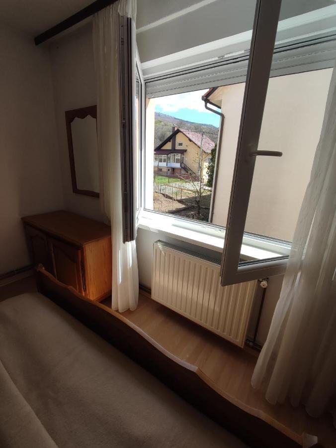 Apartman Bor ليفنو المظهر الخارجي الصورة