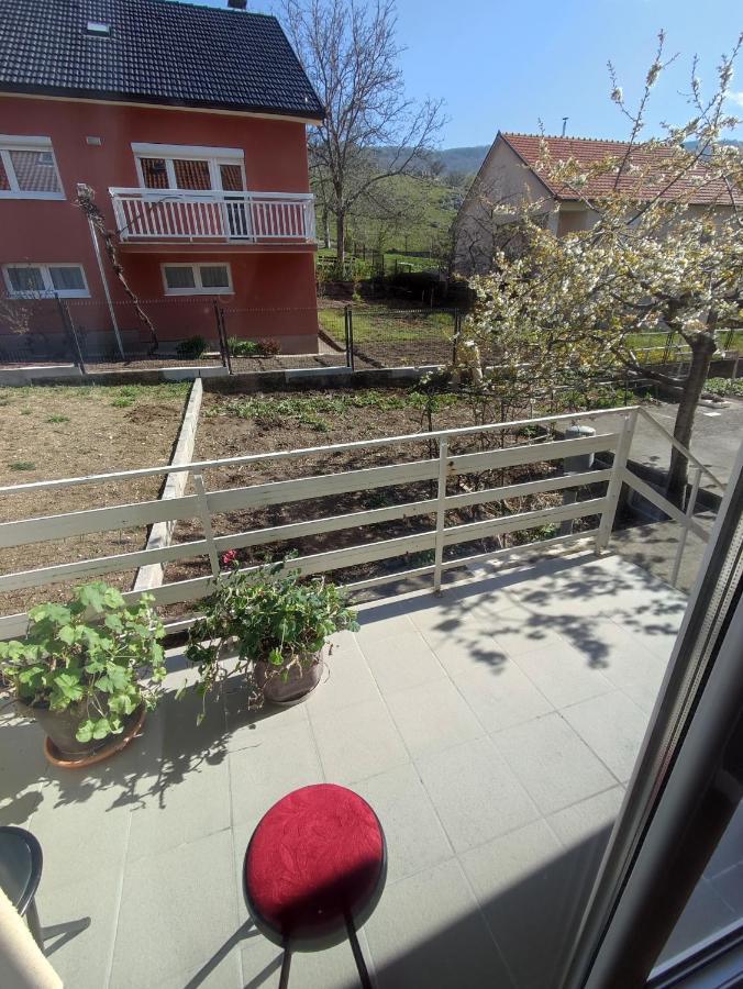 Apartman Bor ليفنو المظهر الخارجي الصورة